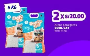 Cat - Arena para gatos