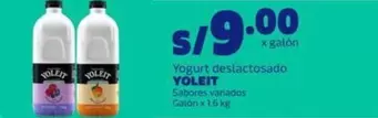 Yoleit - Yogurt deslactosado