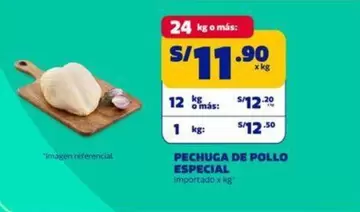 PECHUGA DE POLLO ESPECIAL