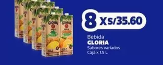 Gloria - Bebida