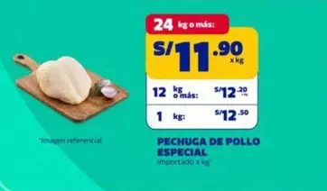 PECHUGA DE POLLO ESPECIAL