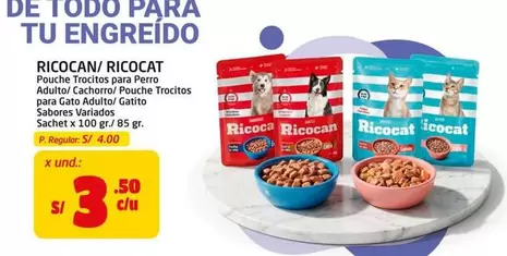 Ricocan - Pouche Trocitos para Perro Adulto/Cachorro/ Pouch Trocitos para Gato Adulto/ Gatito