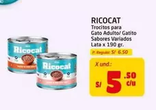Ricocat - Trocitos para Gato Adulto/ Gatito Sabores Variados