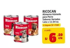 Ricocan - Alimento Húmedo para Perro Sabores Variados Lata