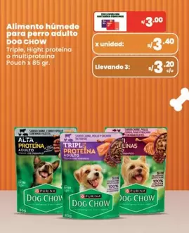 Dog Chow - Alimento húmedo para perro adulto