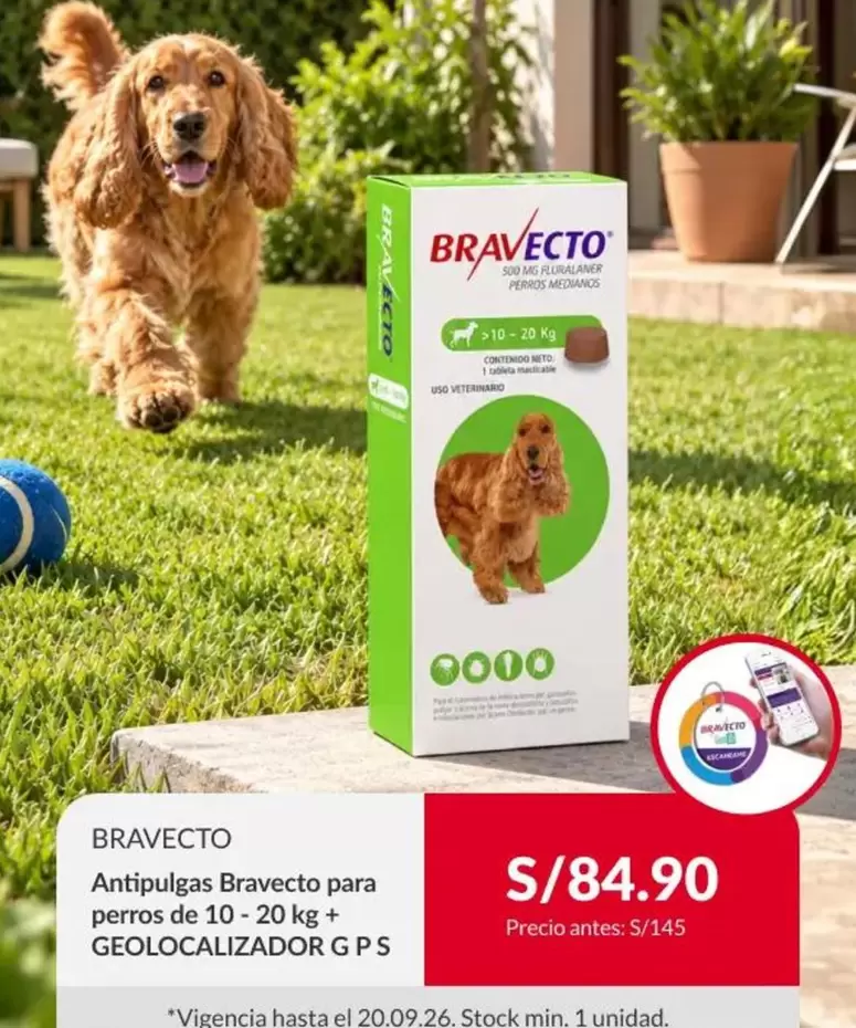 Antipulgas para perros