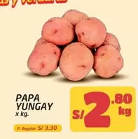 PAPA YUNGAY