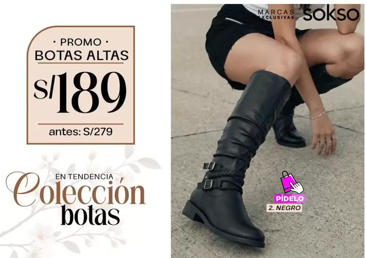 BOTAS ALTAS
