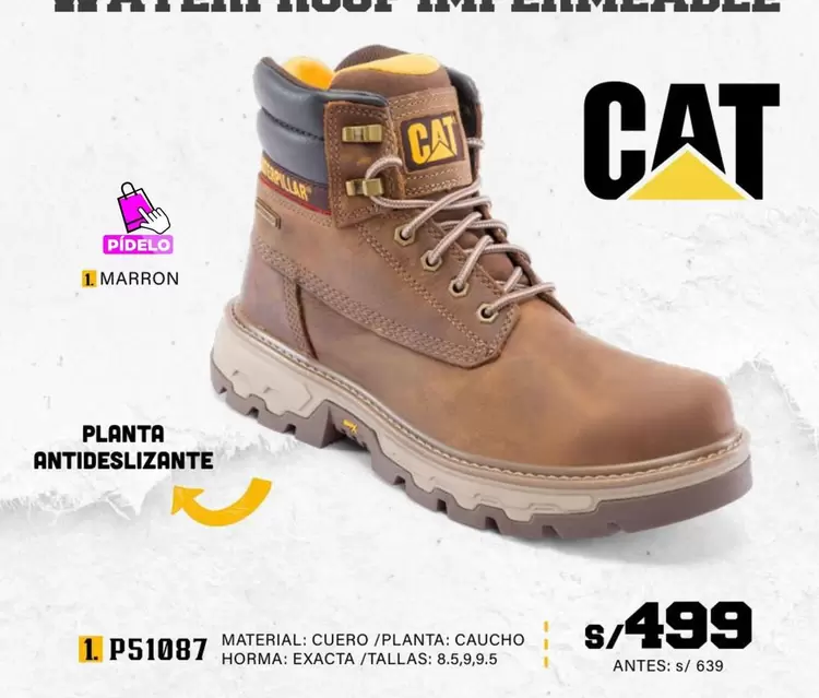 Cat - P51087
