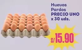 Huevos Pardos