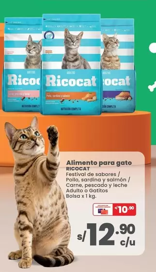 Rico - Alimento para gato