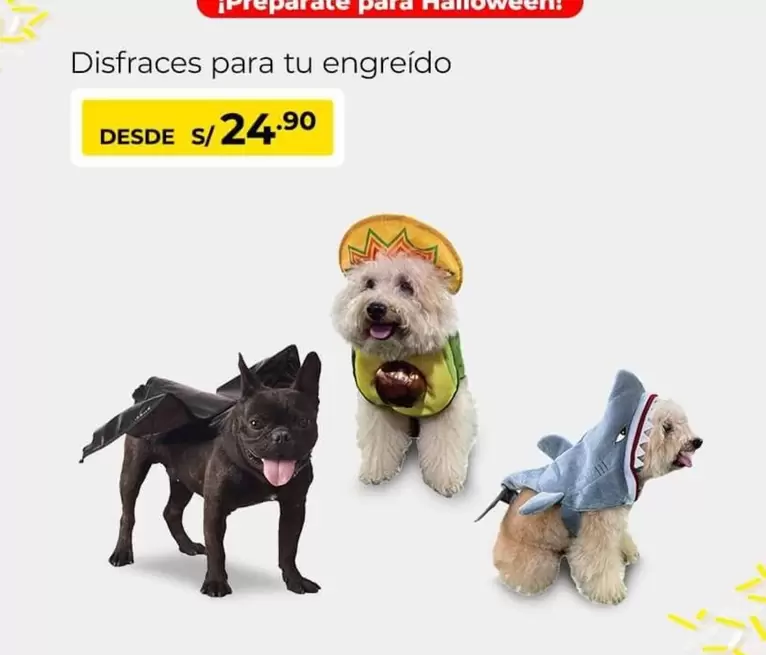 Disfraces para tu engreido