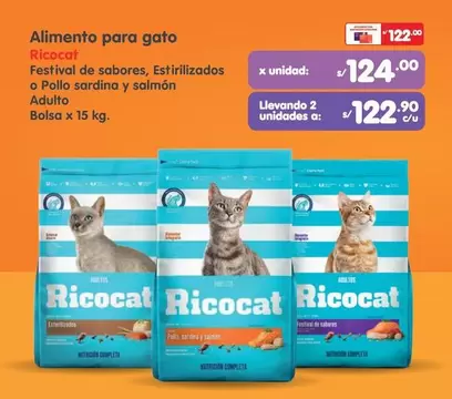 Gato - Alimento para gato