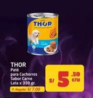 Thor - Paté para Cachorros Sabor Carne
