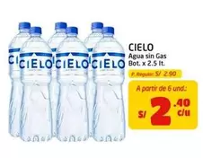 Cielo - Agua sin Gas Bot. x 2.5 lt.