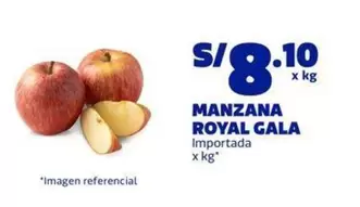 Royal - MANZANA ROYAL GALA