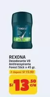 Rexona - Desodorante V8 Antitranspirante Forest Stick