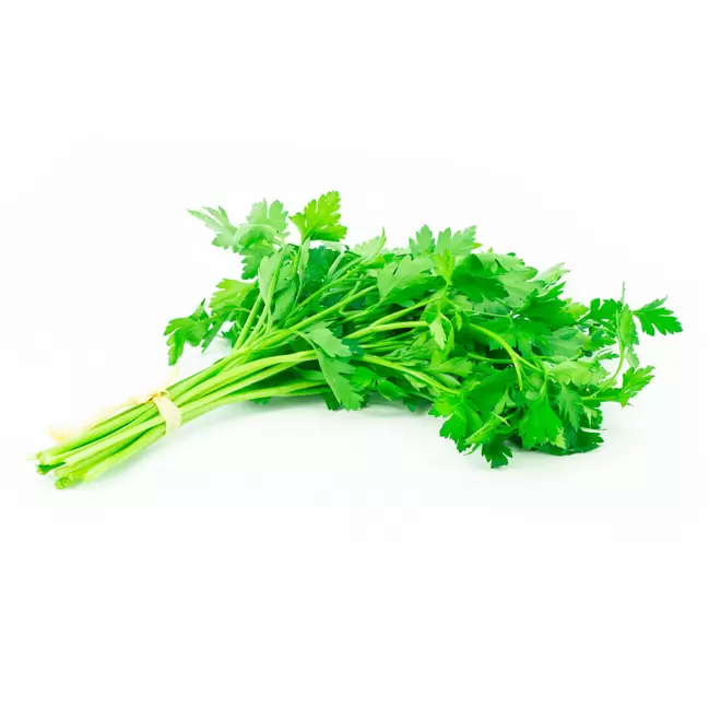 Culantro x atado