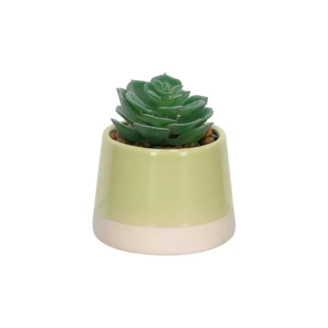 Maceta Cerámica Cactus Dos Tonos 8 x 13 cm