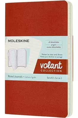 Set de Journal Volant Coral y Aguamarina Pocket Rayado