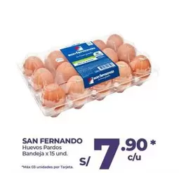 San Fernando - Huevos Pardos Bandeja