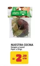 Hongos y Laurel