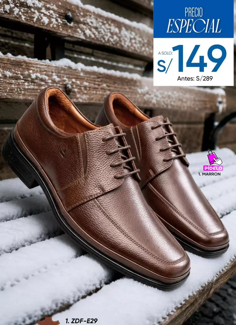 Solo - Zapatos de vestir 1.ZDF-E29