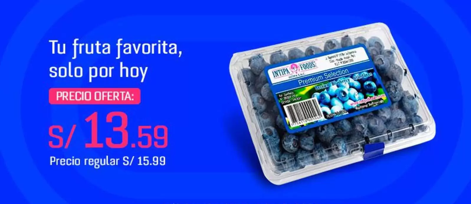 Favorita - Blueberries