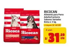 Ricocan - Alimento para Perro Adulto/Cachorro Sabores Variados Bolsa