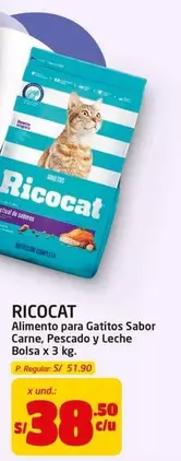 Ricocat - Alimento para Gatitos Sabor Carne, Pescado y Leche Bolsa