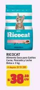 Ricocat - Alimento Seco para Gatitos Carne, Pescado y Leche