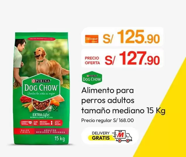 Dog Chow - Alimento para perros adultos tamaño mediano