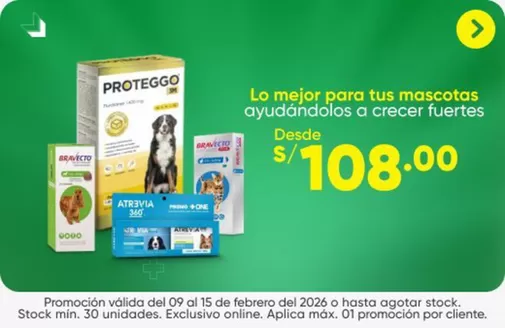 Catálogo InkaFarma | Gangas exclusivas | 2026-02-09T00:00:00.000Z - 2026-02-15T00:00:00.000Z