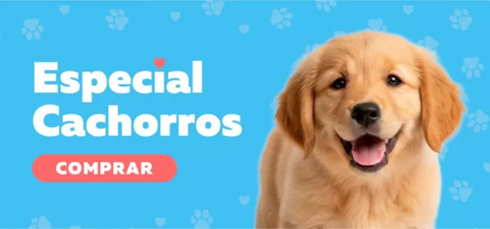 Catálogo Superpet | Nuestras mejores ofertas para ti | 2026-03-02T00:00:00.000Z - 2026-03-16T00:00:00.000Z