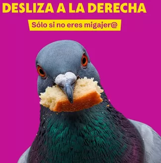 Catálogo Tambo en Lima | Ofertas principales para todos los cazadores de gangas | 2026-05-21T00:00:00.000Z - 2026-06-04T00:00:00.000Z