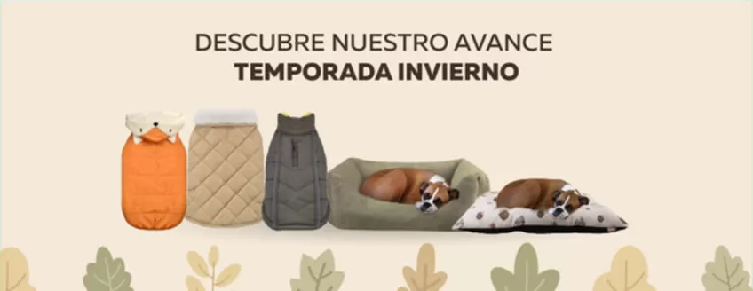 Catálogo Superpet en Trujillo | Ofertas para cazadores de gangas | 2026-12-01T00:00:00.000Z - 2027-02-28T00:00:00.000Z