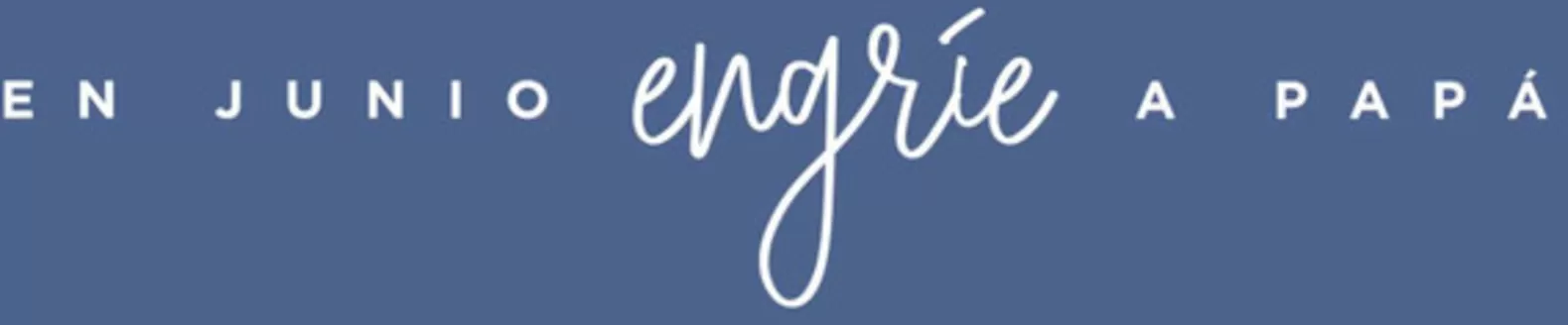 Catálogo Pionier en Chiclayo | En junio engrie a papa | 2026-06-08T00:00:00.000Z - 2026-06-30T00:00:00.000Z