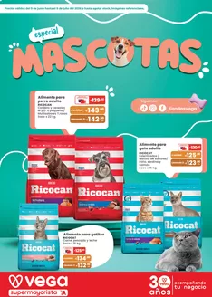 Catálogo Vega | Excelente oferta para todos los clientes | 2026-06-09T00:00:00.000Z - 2026-07-09T00:00:00.000Z