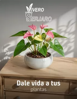 Catálogo Sodimac | Ofertas para cazadores de gangas | 2026-07-03T00:00:00.000Z - 2026-07-17T00:00:00.000Z