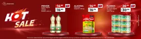 Hot Sale 