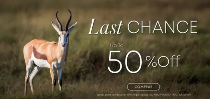 Catálogo RKF | Last Chance | 2026-08-12T00:00:00.000Z - 2026-08-31T00:00:00.000Z