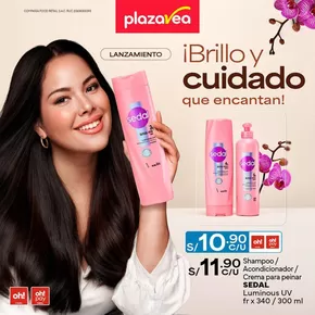 Catálogo Plaza Vea en Lima | Brillo y Cuidado que encantan  | 2025-08-04T00:00:00.000Z - 2025-08-17T00:00:00.000Z