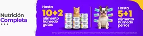 Catálogo Superpet en Lima | Nutricion Completa | 2025-08-04T00:00:00.000Z - 2025-08-10T00:00:00.000Z