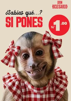 Catálogo Don Belisario | Sabias que si pones | 2026-08-18T00:00:00.000Z - 2026-08-31T00:00:00.000Z