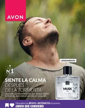 Catálogo Avon | Despues de la tormenta  | 2025-08-11T00:00:00.000Z - 2025-12-31T00:00:00.000Z