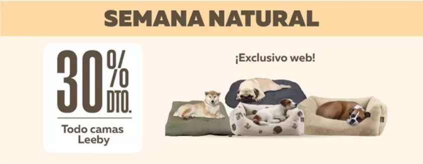 Catálogo Superpet | Ofertas especiales atractivas para todos | 2026-08-24T00:00:00.000Z - 2026-09-07T00:00:00.000Z