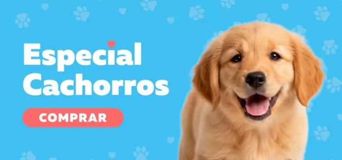 Catálogo Superpet | Excelente oferta para todos los clientes | 2026-09-02T00:00:00.000Z - 2026-09-16T00:00:00.000Z