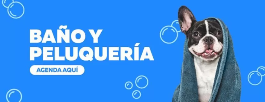 Catálogo Superpet en Arequipa | Nuevas ofertas para descubrir | 2026-09-07T00:00:00.000Z - 2026-09-21T00:00:00.000Z