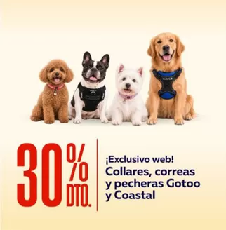 Catálogo Superpet en Punta Hermosa | Excelente oferta para todos los clientes | 2026-10-05T00:00:00.000Z - 2026-10-19T00:00:00.000Z