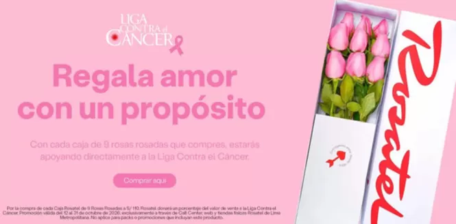 Catálogo Rosatel | Regala amor con un proposito | 2026-10-13T00:00:00.000Z - 2026-10-31T00:00:00.000Z